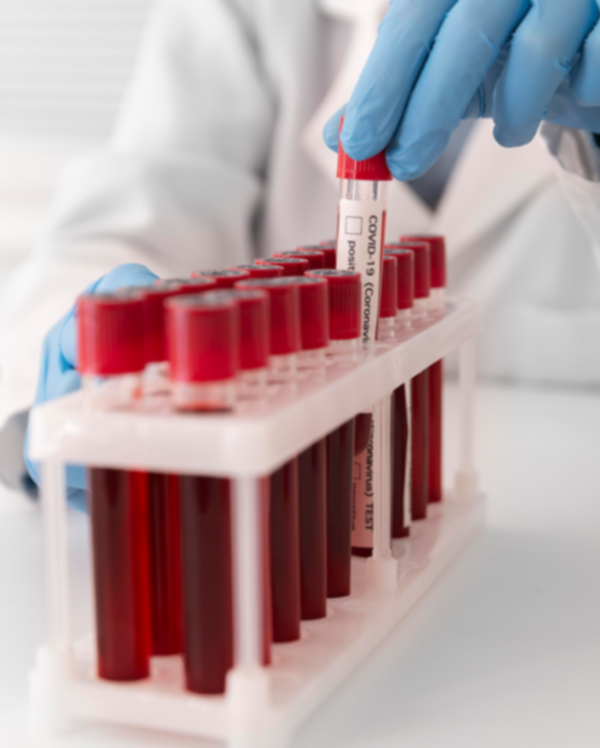 Transporte Rodoviário Especializado